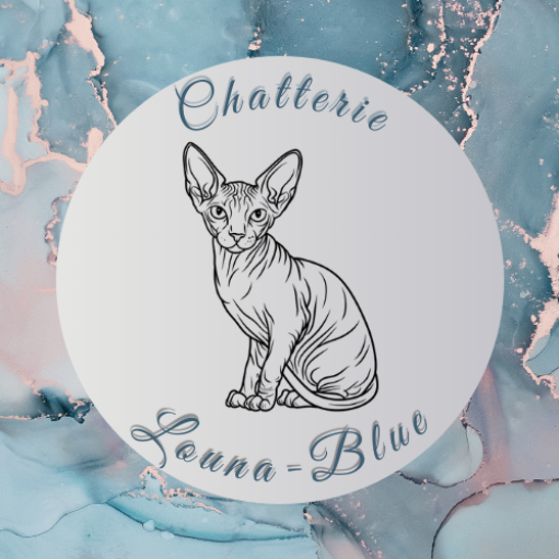 Pour l'amour du sphynx