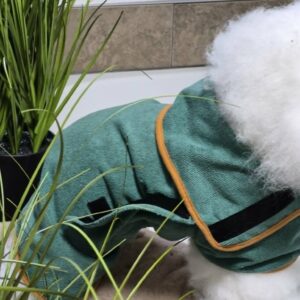 Peignoir absorbant vert forêt pour chats Sphynx et petits chiens, idéale après le bain, la piscine ou une promenade sous la pluie.